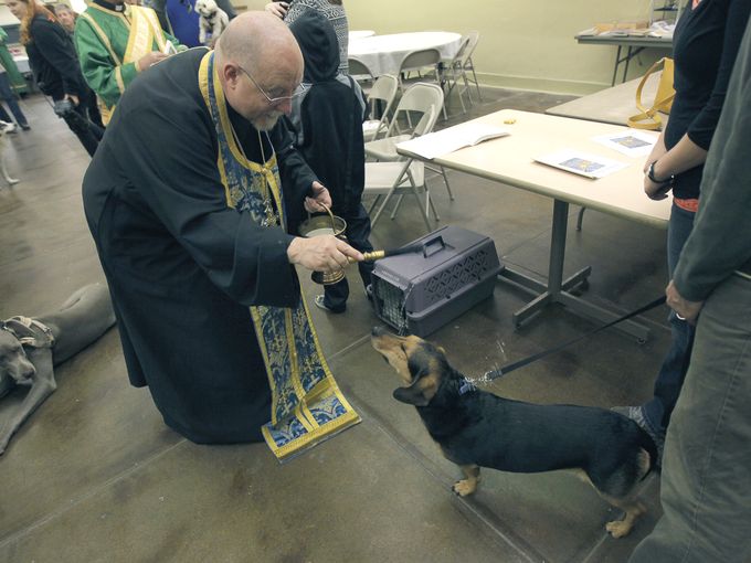 Father Ken Stavrevsky blesses a small dog