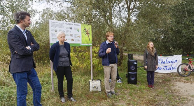 A new ecological trail «The Road of Life» appeared along the southern bank of the river Mukhavets in Brest